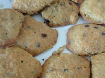 chocolat chips cookie